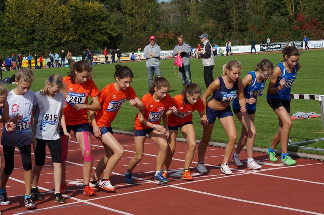 Die 800m Läufer der LG im blauen Trikot DSC00987