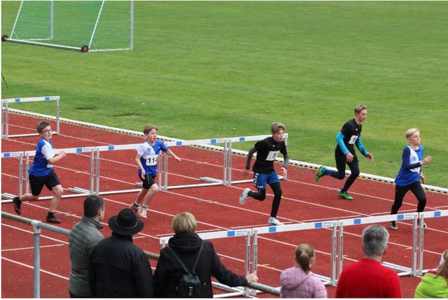 60m Hürden der M12 mit Jakob Miehling (vorne rechts)